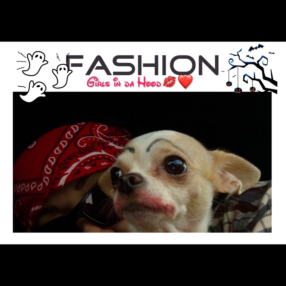 My closet is not Pet Free, A Non Smoking Home